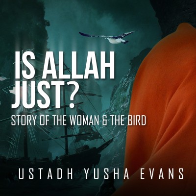 Is Allah Just? - Story Of The Woman & The Bird