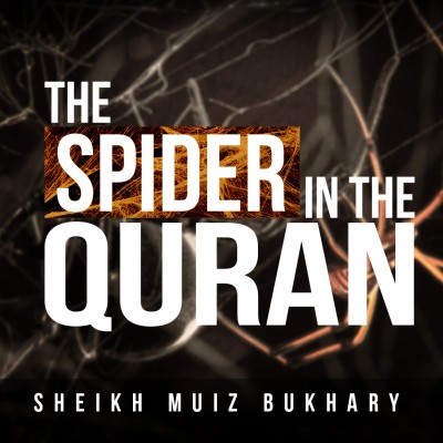 Science Confirms Quranic Claim - Weakest Homes Are That Of Spiders!