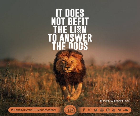 It does not befit the lion