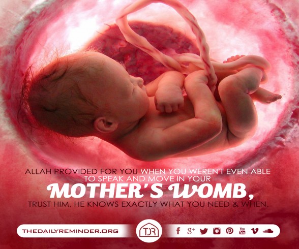 Mother's Womb