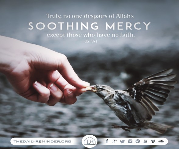 Truly, no one despairs of Allahâ€™s soothing mercy except those who have no faith. [12: 87]