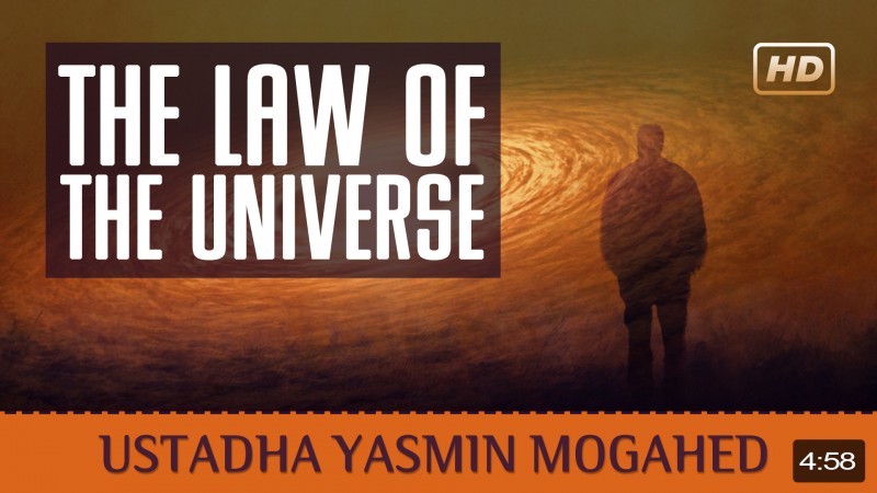 The Law Of The Universe