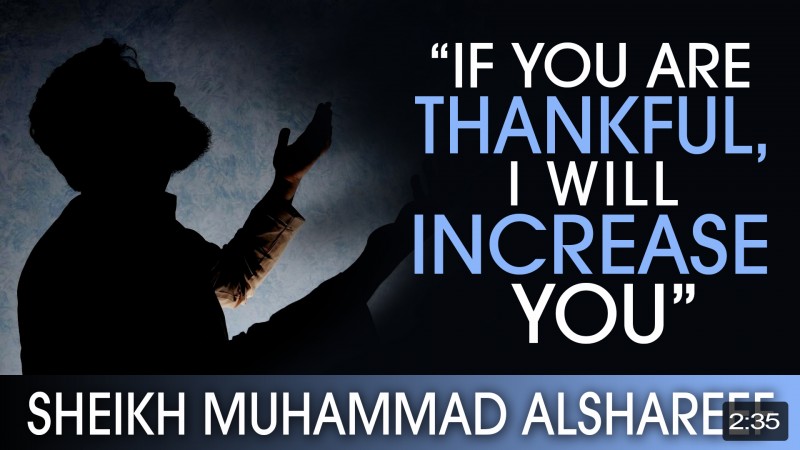 'If You Are Thankful - I Will Increase You'